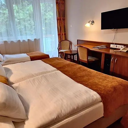 Hotel Hungarospa Thermal