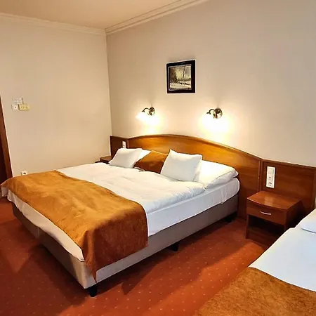 Hungarospa Thermal 3*