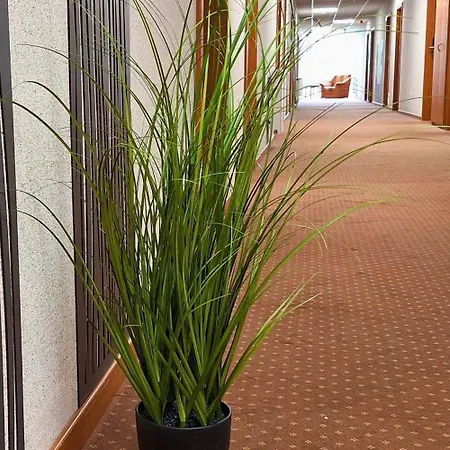 Hungarospa Thermal Hotel